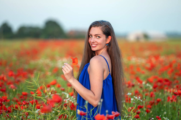 portrait of elegant young woman with long hair in poppy field in evening sunlight - Foto, immagini