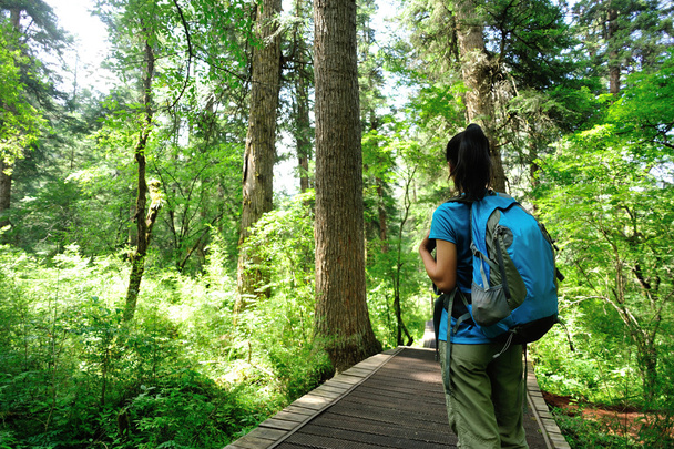 Hiking woman on forest - Фото, зображення