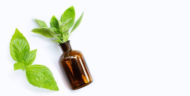 Une bouteille d'huile essentielle aux feuilles de basilic frais sur fond blanc. - Photo, image