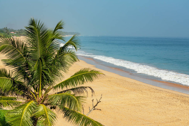 Sri Lanka ocean waves on resorts sand beach with palm tree. - Photo, Image