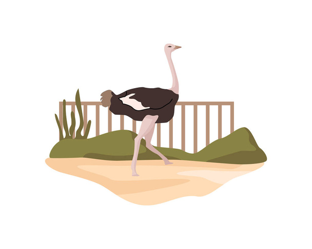 Ostrich in African nature reserve with exotic ratites animals flora and fauna habitat. Zoological garden, wildlife of Africa. Flat cartoon, vector illustration - ベクター画像