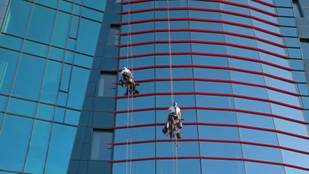 Δύο εργαζόμενοι καθαρισμού παράθυρο στο επιχειρηματικό κέντρο, Βιομηχανική αλπινιστές πλύσιμο εξωτερικό του ουρανοξύστη, Επικίνδυνη επικίνδυνη εργασία σε ύψος, Καθάρισμα υπηρεσία - Πλάνα, βίντεο