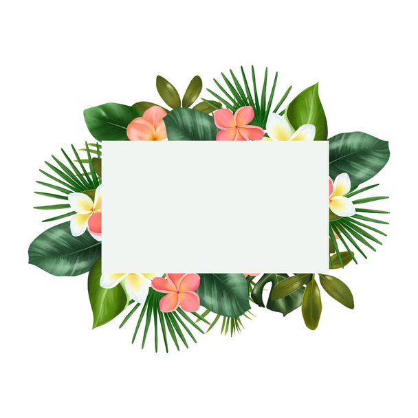 Marco de hojas verdes tropicales y flores de plumería, ilustración aislada sobre fondo blanco - Foto, Imagen