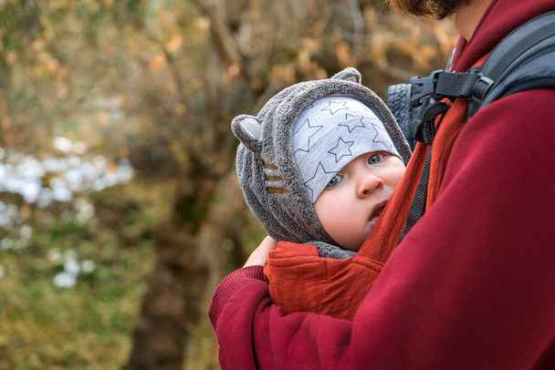 Young traveler baby boy in ergonomic baby sling in autumn nature. - Foto, Imagem