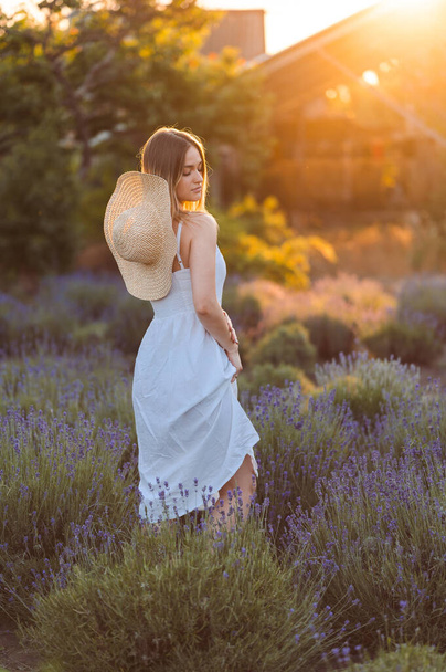 Mulher Romântica em Lavanda Prado Estandes em Sundress Branco e levanta parte inferior de seu vestido. Menina com ternura olha para baixo Iluminado pelos raios do sol na hora de ouro entre lavanda. - Foto, Imagem