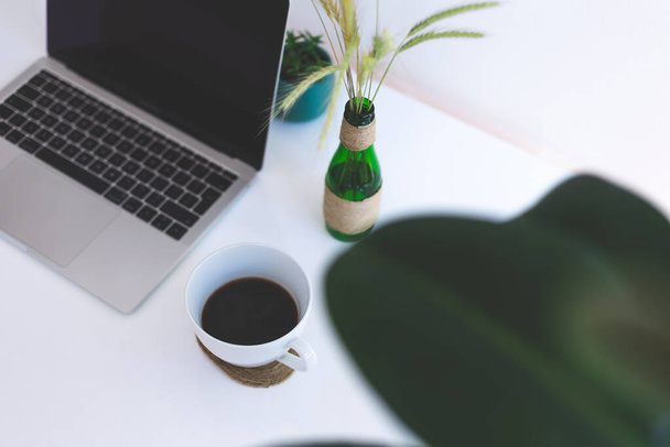 Freelancer miejsce pracy, laptop, filiżanka kawy i roślin doniczkowych na białym stole, nowoczesne biuro - Zdjęcie, obraz
