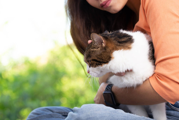 Skotský složit roztomilé kočka a její majitel v domě v blízkosti okna. Mladá fena se stará o svou kočku doma se zelenou zahradou, kde je venku. Zůstává doma s útulný a relaxovat pocit. - Fotografie, Obrázek