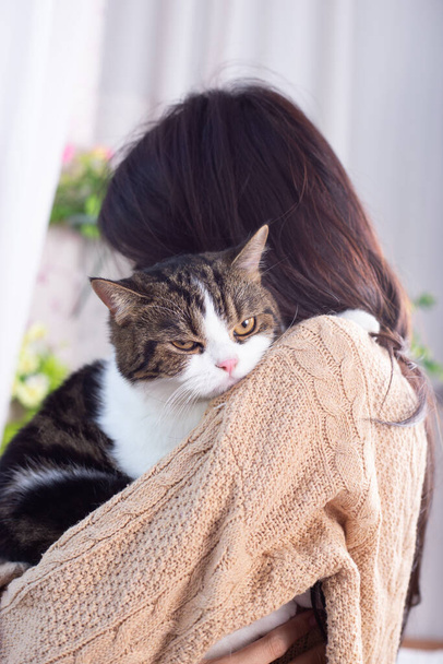 Skotský složit roztomilé kočka a její majitel v domě v blízkosti okna. Mladá fena se stará o svou kočku doma se zelenou zahradou, kde je venku. Zůstává doma s útulný a relaxovat pocit. - Fotografie, Obrázek