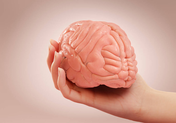 Рука держит человеческий мозг на розовом фоне студии. Понятие образования, разума, болезни мозга, психологии. 3D рендеринг - Фото, изображение