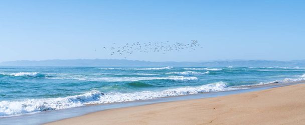 Бирюзовое море, песчаный пляж и стадо летающих птиц, горы и голубое небо на заднем плане, панорамный вид, Центральное побережье Калифорнии - Фото, изображение