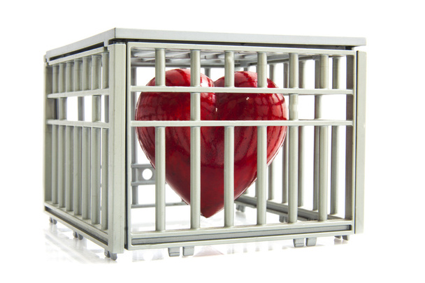 Coeur en cage
 - Photo, image