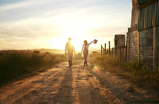 Two farmers carrying a basket of fresh produce and walking against a sunset background. Unrecognisable woman celebrating successful harvest on a farm with male colleague. - Zdjęcie, obraz