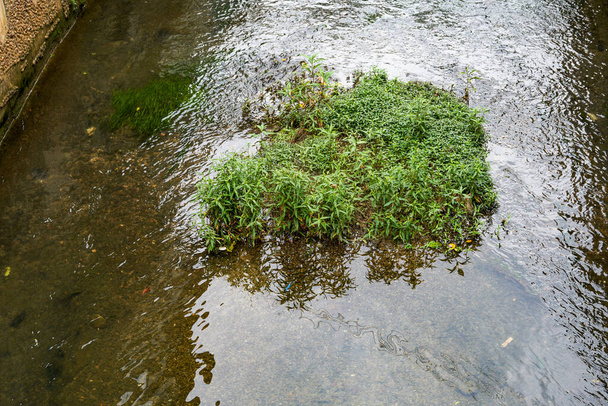 Close-up of a small stream flowing through the village - 写真・画像