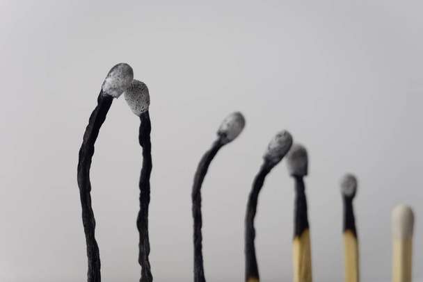 Burnt and bent matchsticks. Wooden matchsticks burning in sequence on a gray background. Selective Focus. - 写真・画像