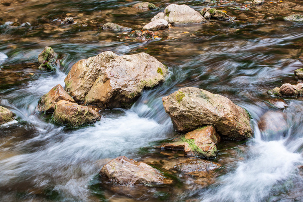 Creek with stone - Photo, Image