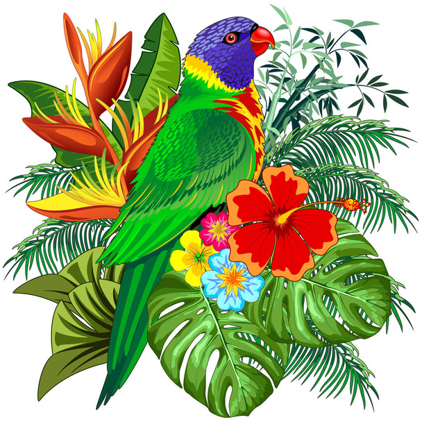 A Vector Illustration design of a Rainbow Lorikeet Exotic Colorful Parrot Bird on white background - Vector, Imagen