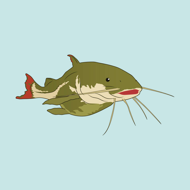 Catfish Illustratie met Pastel Achtergrond Kleuren - Vector, afbeelding