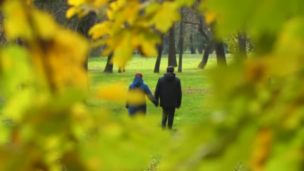 Starý pár v důchodu chodí od foťáku k parku s podzimními stromy. Starší lidé jsou viditelní mezerou ve žlutém listu. - Záběry, video