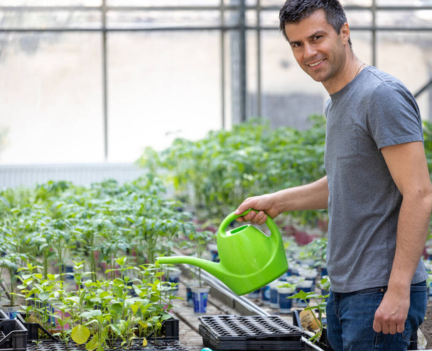 Handsome young farmer watering sprouts in flower pots in greenhouse - Photo, image