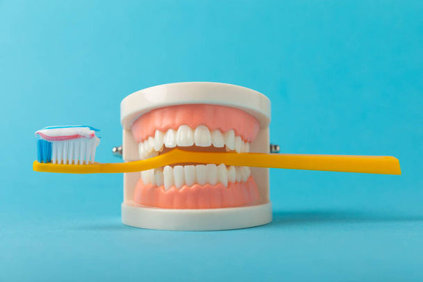 Dentures with a toothbrush on a blue background.Upper and lower jaws with false teeth. Dentures or false teeth, close-up. copy space.MOCKUP - Fotó, kép