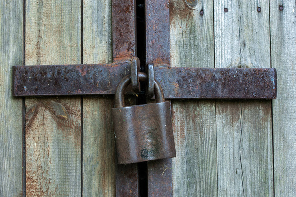 Rusty locked padlock on wooden door - Photo, Image