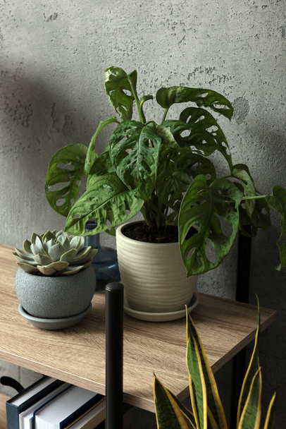 Beautiful house plants on wooden shelf indoors. Home design idea - Фото, изображение