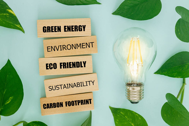 leaves surrounding bulb, ecological system, wooden blocks, slogans related to green energy and the environment, natural sources of electricity, creative, bright background, lay flat - 写真・画像