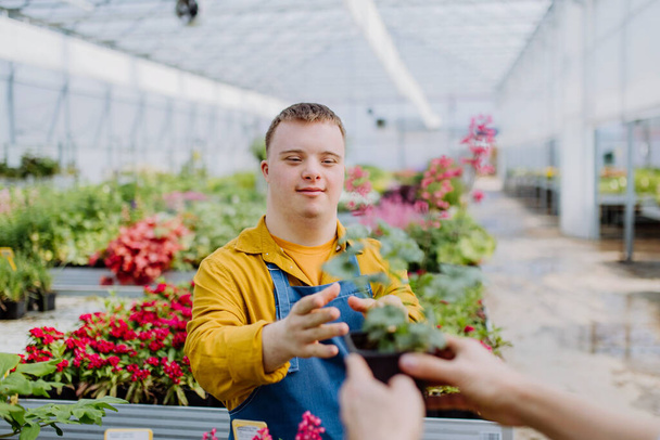 A happy young employee with Down syndrome working in garden centre, taking care of flowers. - Photo, Image