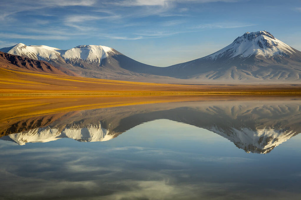 Laguna Lej a is a salt lake located in the Altiplano of the Antofagasta Region of northern Chile - Photo, Image