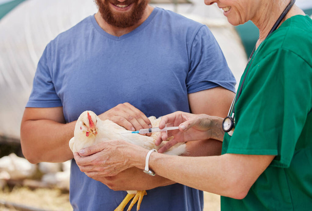 Shot of a veterinarian giving an injection to a chicken on a poultry farm. - Foto, afbeelding