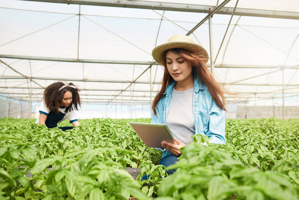 Fotografía de una joven usando una tableta digital mientras trabajaba en una granja con su colega en segundo plano. - Foto, imagen