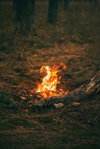 Пожежа ввечері в лісі. Вогонь горить у сутінках на території кемпінгу. Пожежа в лісі
 - Фото, зображення