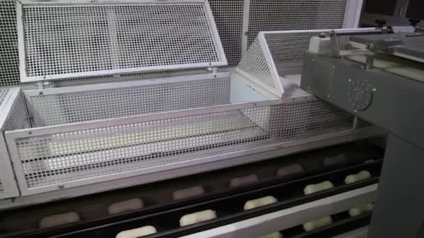 Automated conveyor feeding shelves with dough for baking bread. Bakery at the bakery factory. Private bakery. Bread oven. Production of bread. Workshop of making bread. - Séquence, vidéo