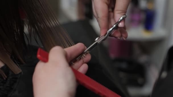 Hairdresser cuts with scissors blond hair of woman in hairdressing beauty salon, slow motion. Barber hands cut female hair taking strand in his fingers, style in barbershop, close-up - Záběry, video