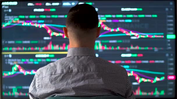 Achteraanzicht van gefrustreerde aandelenhandelaar kijkend naar de financiële grafieken. Crypto valuta wisselmarkt crash. Concept van Bitcoin en aandelenhandel. Hoge kwaliteit 4k beeldmateriaal - Video