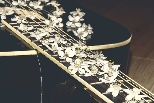 Гитара с цветами на струнах. Красивые белые цветы на гитаре. Музыкальный инструмент - Фото, изображение