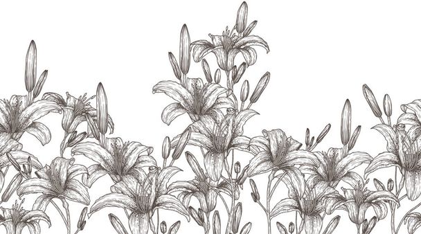  Seamless horizontal vector pattern tiger lily flower garden in engraving style - Vecteur, image