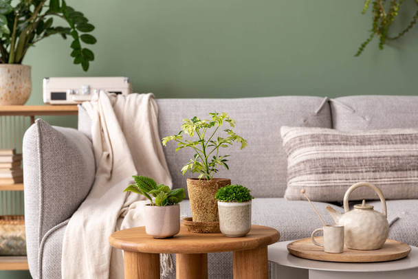 Stylish composition of cozy living room interior with design poster frames, plants, pillow, beige sofa,  plaid and personal accessories in green home decor. Template. Plants on chest of drawers. - Valokuva, kuva