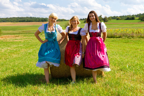 Три веселих дівчата в барвистому романі
 - Фото, зображення