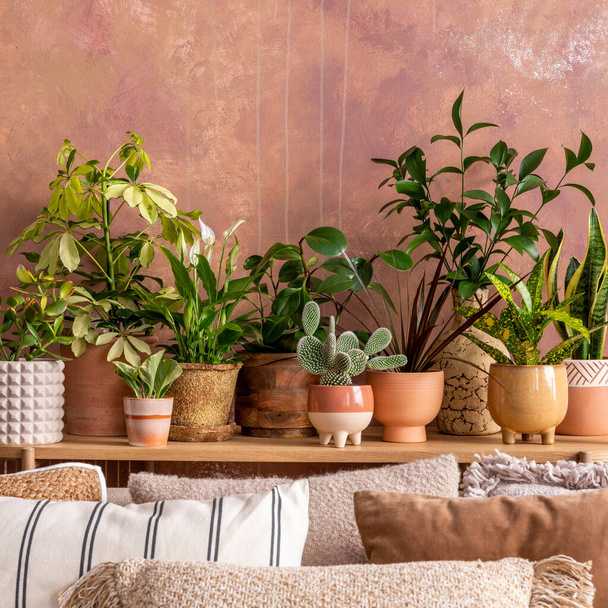 Stylish composition of creative spacious living room interior with plants, sofa, pillows and stylish accessories. Botanical space of a cozy room. Brown walls. Template.  - 写真・画像