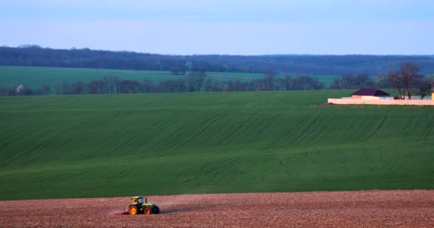 Traktori pelloilla käsittelee maataloustuotteiden viljelykasveja - Materiaali, video