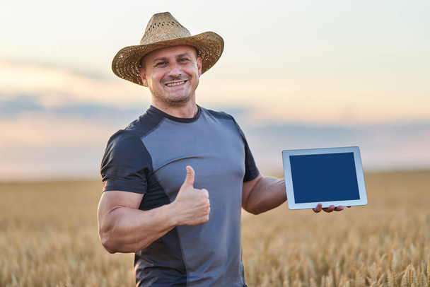 Farmer with a tablet checking the state of his wheat culture - Foto, imagen
