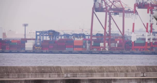 Βιομηχανικοί γερανοί κοντά στην προβλήτα εμπορευματοκιβωτίων στο Τόκιο συννεφιασμένη μέρα. Υψηλής ποιότητας 4k πλάνα. Περιοχή Koto Aomi Τόκιο Ιαπωνία 05.20.2022 Εδώ ονομάζεται Ooi Container Wharf. Είναι ένα από τα δοχεία - Πλάνα, βίντεο