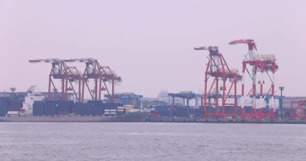 Βιομηχανικοί γερανοί κοντά στην προβλήτα εμπορευματοκιβωτίων στο Τόκιο συννεφιασμένη μέρα. Υψηλής ποιότητας 4k πλάνα. Περιοχή Koto Aomi Τόκιο Ιαπωνία 05.20.2022 Εδώ ονομάζεται Ooi Container Wharf. Είναι ένα από τα δοχεία - Πλάνα, βίντεο