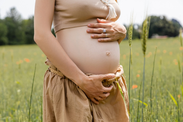 Vista ritagliata della donna incinta che tocca la pancia vicino a spighette offuscate nel campo  - Foto, immagini
