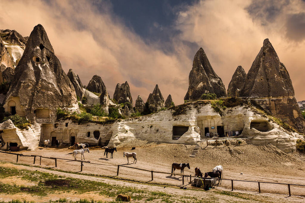 Cappadocia. Horses in mountain landscape, Turkey - Zdjęcie, obraz
