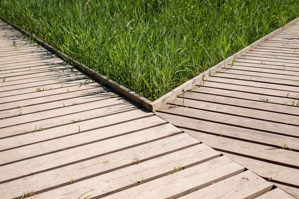 Wooden boardwalks and grass. Close up. - Foto, Imagem
