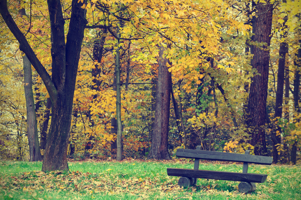 banco en el parque de otoño, aspecto vintage
 - Foto, imagen