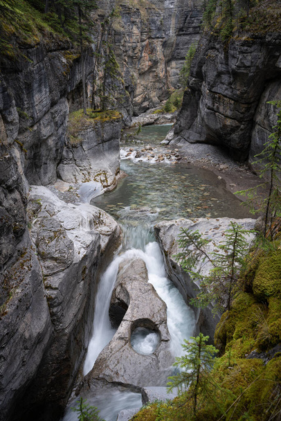 River flowing through deep canyon with mossy walls, vertical shot, Jasper NP, Canada. - Фото, изображение