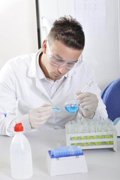 Jeune doctorant scientifique attrayant observant l'indica bleue
 - Photo, image
